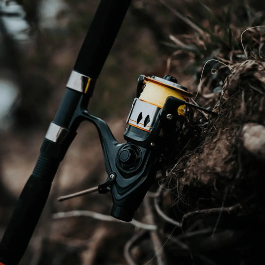 600STS Spinning Reel Catfish Pro