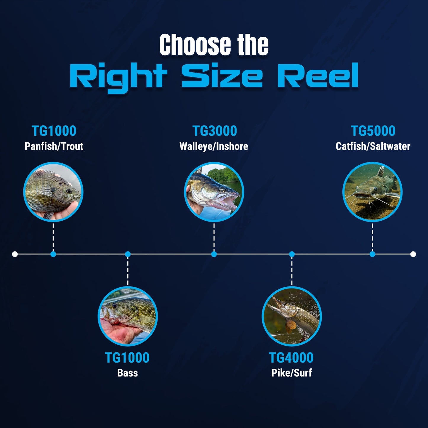 Reaction Tackle High-Performance Fishing Reels- Spinning Reel Series - NEW Reaction Tackle