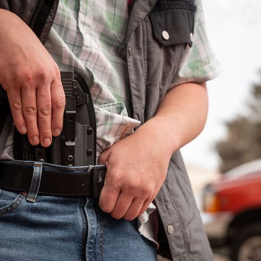 OMNICARRY STANDARD IWB HOLSTER