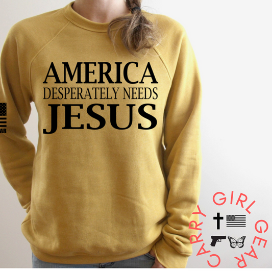 AMERICA DESPERATELY NEEDS JESUS HOODIE & SWEATSHIRT Carry Girl Gear
