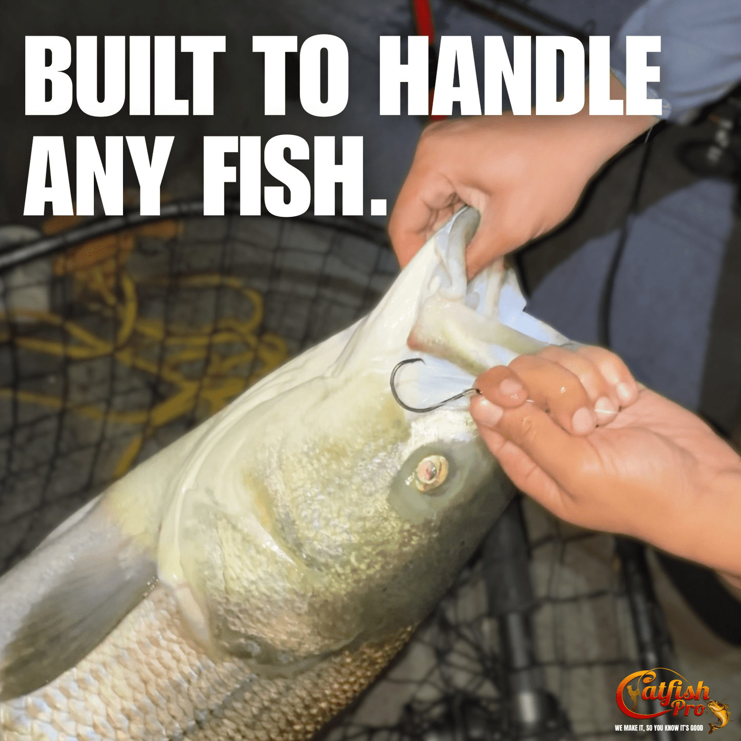 Double Offset Circle Hooks 5/0 - Value Pack